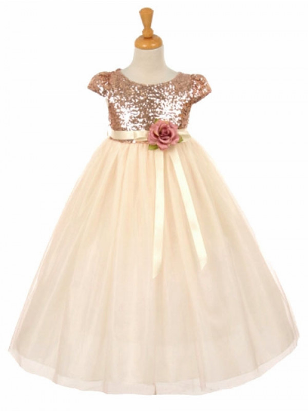 Zolindu Ines Blush Pink Short Sleeve Sequins & Tulle Dress