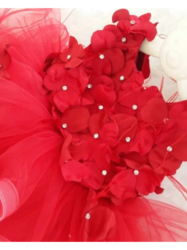 Zolindu Falcon Girls Dress