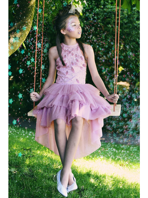 Zolindu abbie Dusty Rose Princess Dress